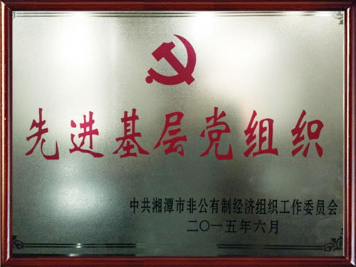 先進基層黨組織