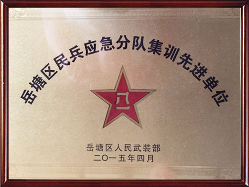 岳塘區(qū)民兵應(yīng)急分隊集訓(xùn)先進單位